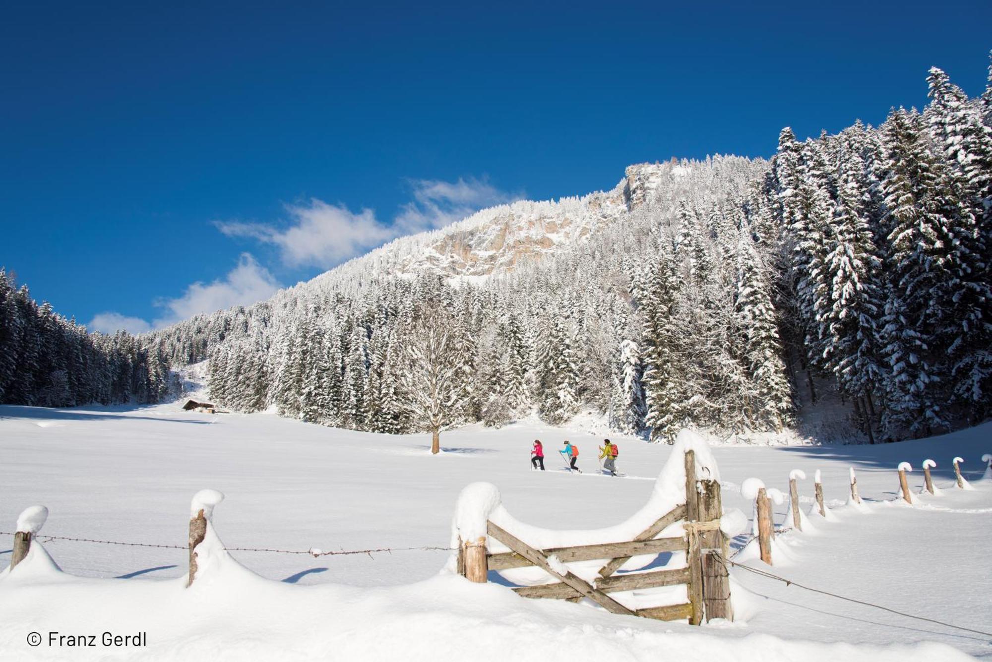 Kitzbuhel Suites By Alps Resorts Oberndorf in Tirol Buitenkant foto